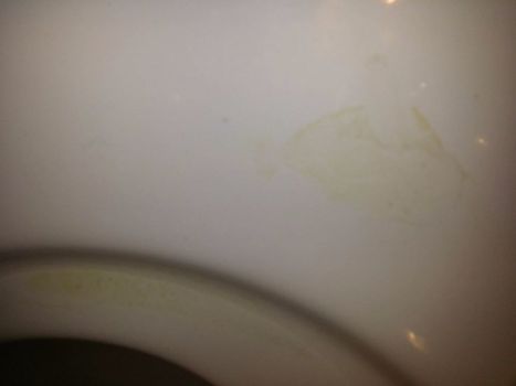 Waschbecken